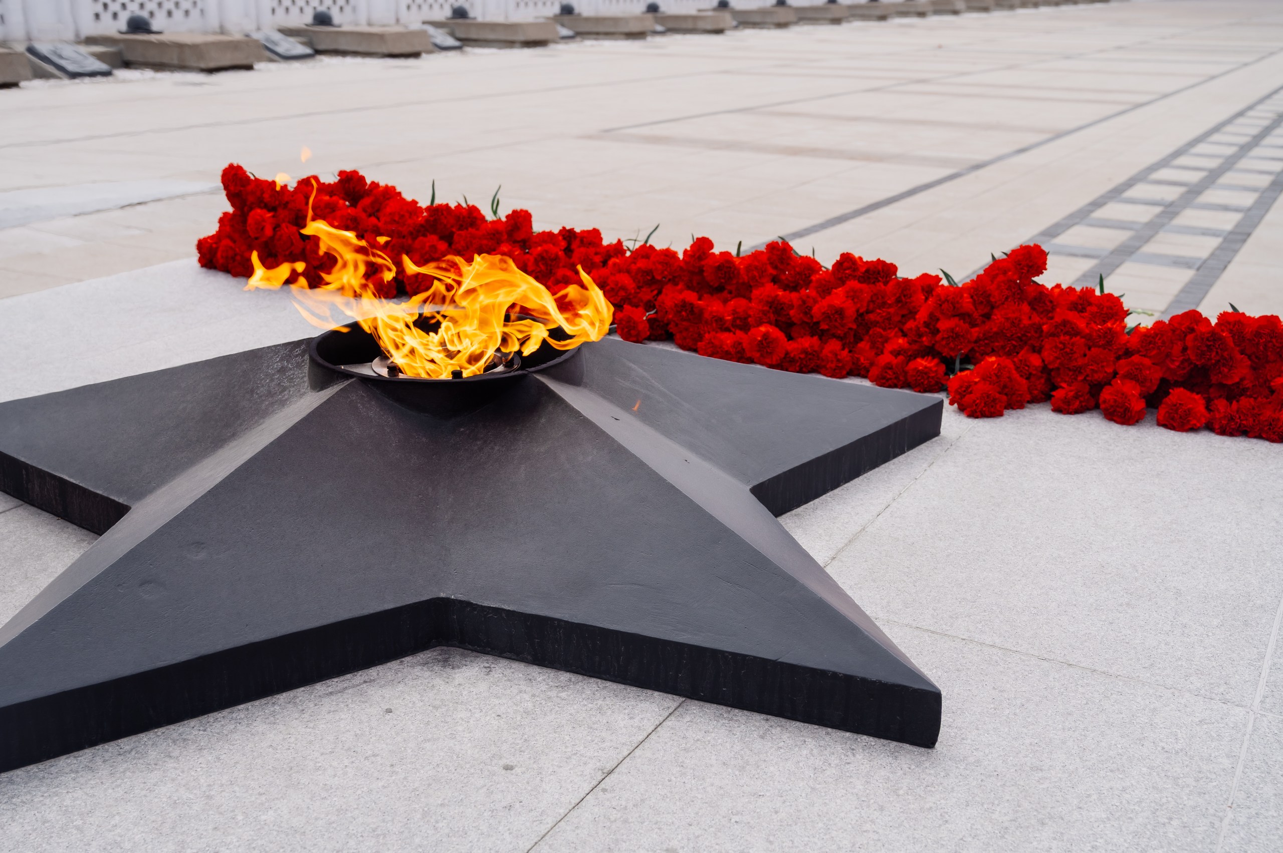 В Красноярском крае дали старт поисковому сезону: состоялось открытие всероссийской акции «Вахта Памяти – 2026»